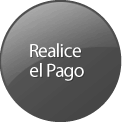 Realice su pago